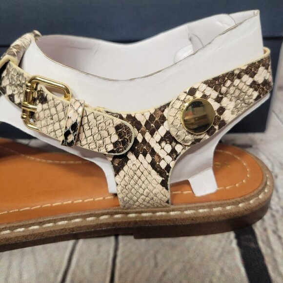 Tommy Hilfiger Women's Bennia Thong Flat Sandals - Picture 5 of 8